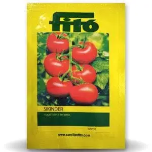 Sikinder Tomato ( सिकंदर टमाटर ) 1