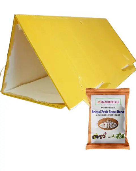 Sk Agrotech Delta Trap Brinjal Shoot & Fruit Borer Pheromone Lure 1
