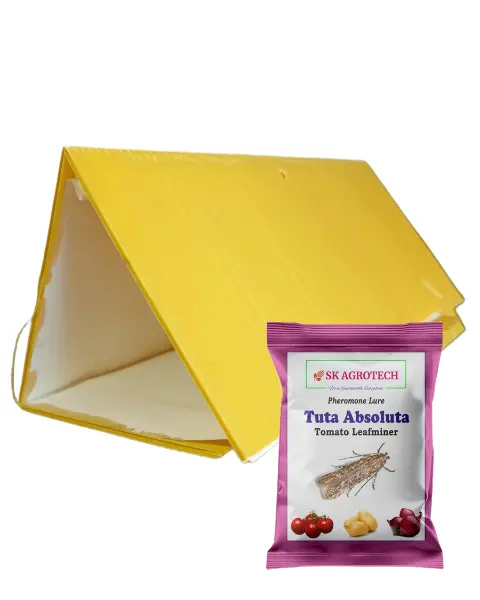 Sk Agrotech Delta Trap & Tuta Absoluta Lure - Tomato Leaf Miner 1