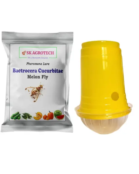 Sk Agrotech Fruit Fly Trap & Melon Fly Lure (Bactrocera Cucurbitaie) 1