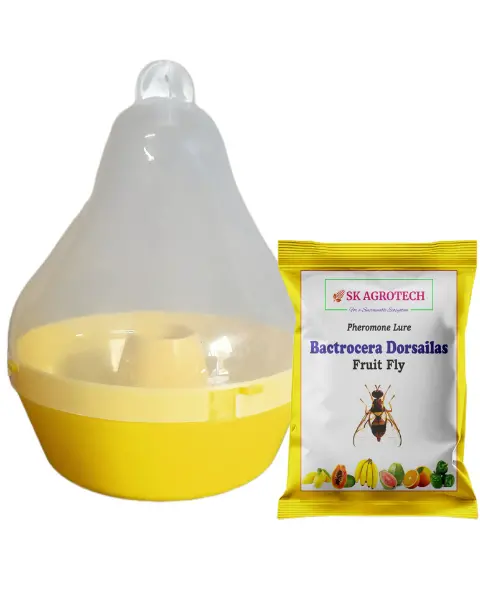 Sk Agrotech Mac Phil Trap & Fruit Fly Lure (Bactrocera Dorsalis) 1