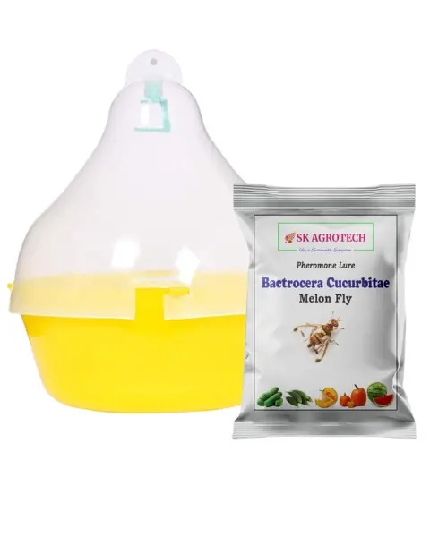 Sk Agrotech Mac Phil Trap & Melon Fly Lure (Bactrocera Cucurbitaie) 1