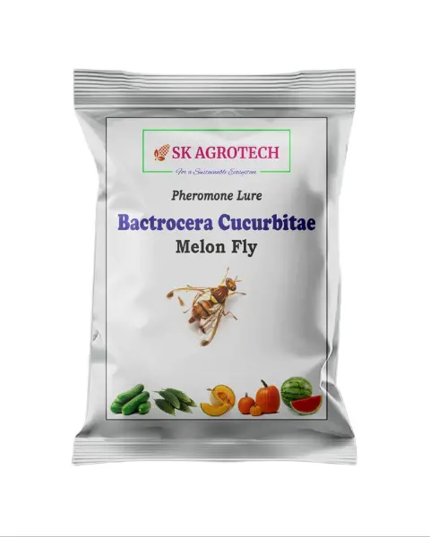 Sk Agrotech Melon Fly Lure (Bactrocera Cucurbitae) – Effective Control Against Melon Fly 1