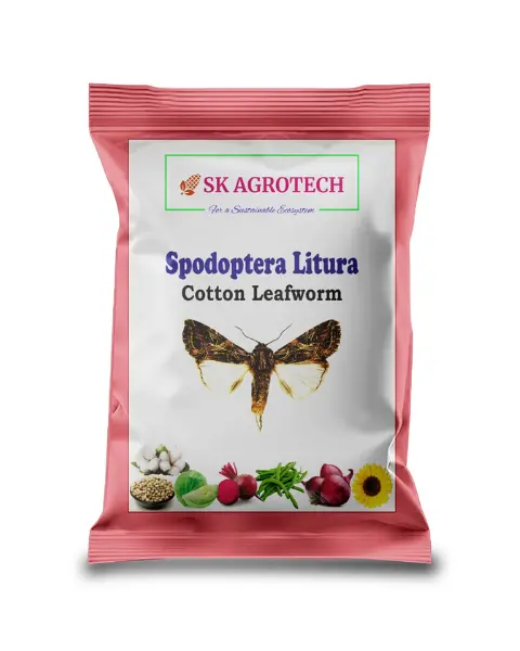 Sk Agrotech Spodoptera Litura Pheromone Lure 1