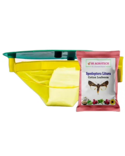 Sk Agrotech Spodoptera Litura Pheromone Lure & Funnel Trap 1