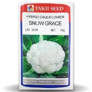 Snow Grace Cauliflower F1 1
