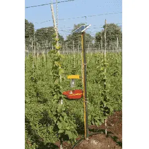 Solar Light Trap 1