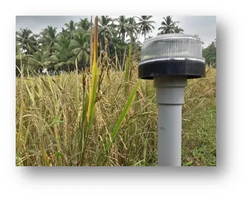 Triveni Solar Operated Flair Light 2