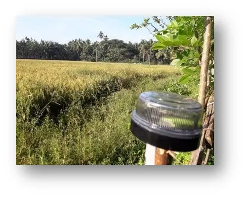 Triveni Solar Operated Flair Light 3