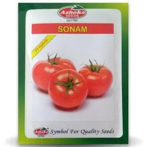 Sonam Tomato Seeds ( सोनम टमाटर ) 1