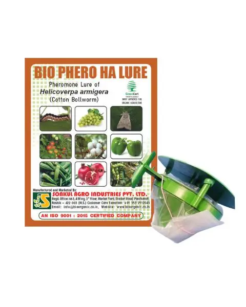 Sonkul Bio Phero Ha Lure (Cotton Bollworm)  With Funnel Trap Set Combo 1