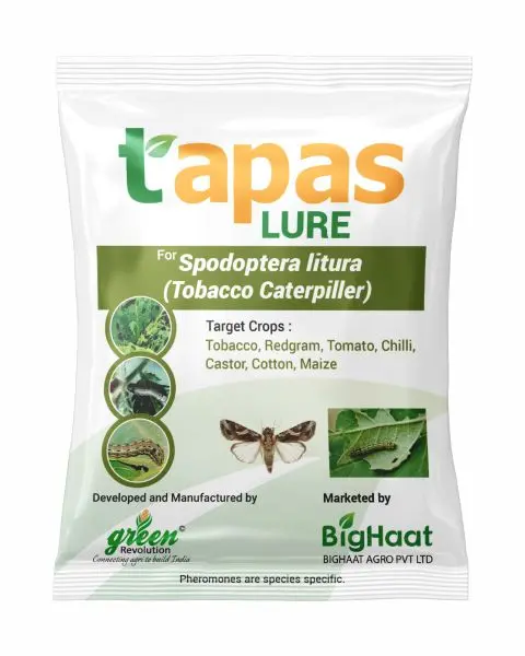 Tobacco Caterpillar (Spodoptera Litura) Pheromone Lure For All Crops (Ipm Suitable) | Tapas 1