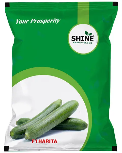 Shine Sponge Gourd Harita F1 Seeds 1