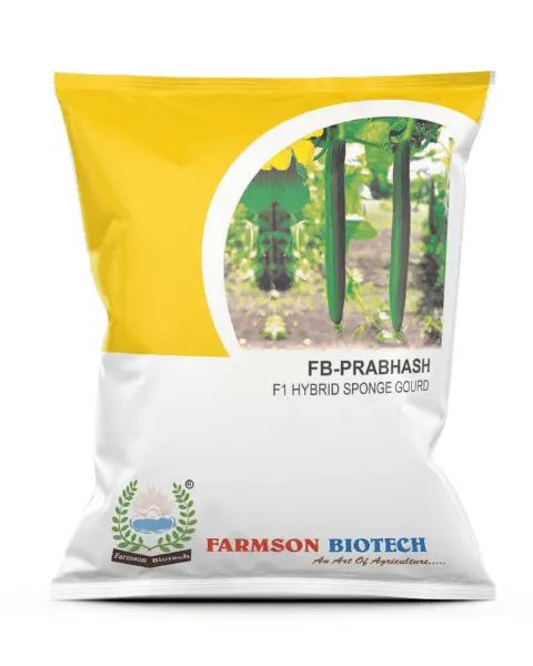Farmson Sponge Gourd Fb- Prabhas Seeds 1