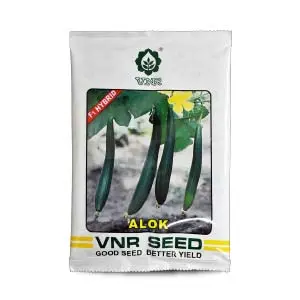 Vnr Alok Sponge Gourd Seeds - F1 Hybrid & High Yielding Variety 1