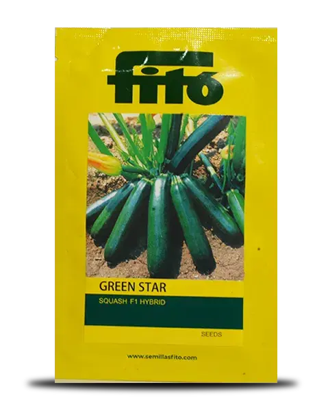 Green Star Squash Seeds - Early Maturity, Fast Growth, Dark Green, High Yield 1