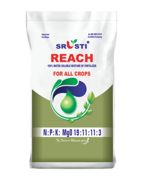 Farmroot Npk Reach (19-11-11-3Mgo+Te) Fertilizer 1