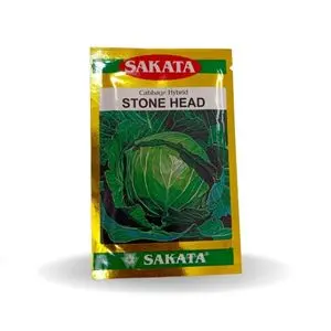 Stone Head Cabbage 1