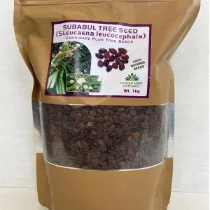 Pioneer Agro Subabul Tree Seed (Sleucaena Leucocephala) 1
