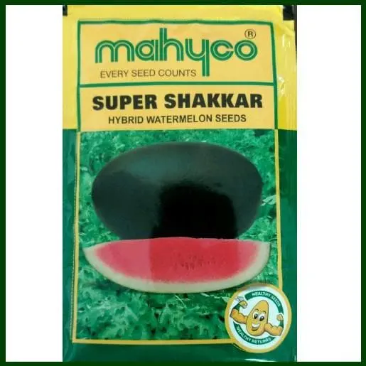 Super Shakkar Watermelon 1