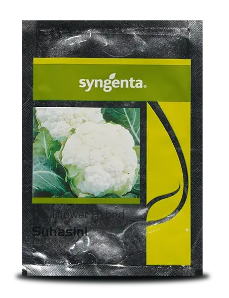 Suhasini Cauliflower Seeds - Early Maturity, Sturdy Plant, Compact White Curd 1