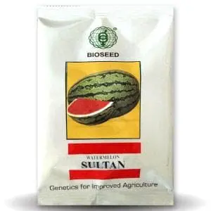 Sultan Watermelon Seeds 1