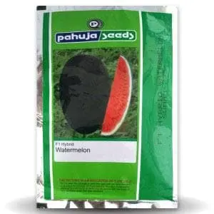 Suman 235 Water Melon (सुमन) 1