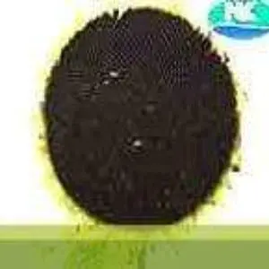 Sunbred 207 Sunflower 1