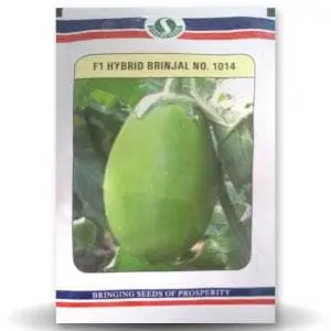 1014 F1 Hybrid Brinjal Seeds 1