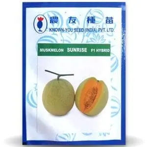 Sunrise Musk Melon (सनराइज) 1