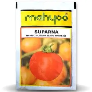 Suparna Tomato Seeds ( सुपर्णा टमाटर ) 1