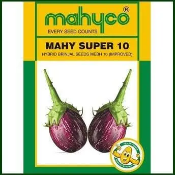 Super 10 Brinjal 1