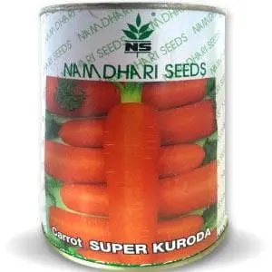Super Kuroda Carrot Seeds - Early Maturity, Sweet, Deep Orange Roots 1