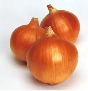 Superex Onion F1 1
