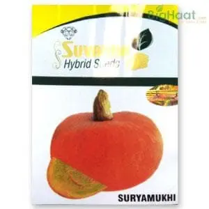 Suryamukhi Pumpkin 1