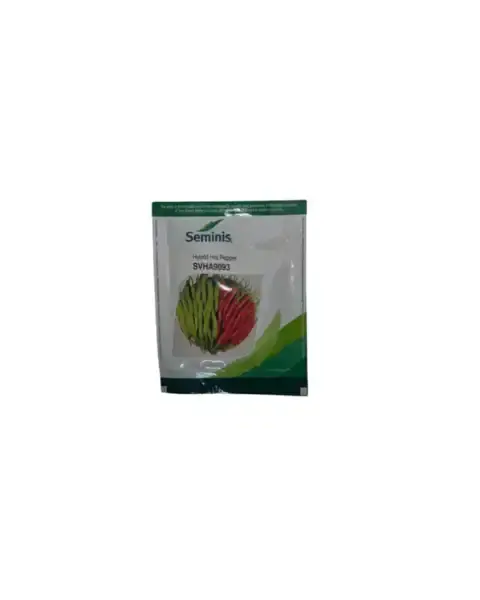 Svha9093 Chilli 1