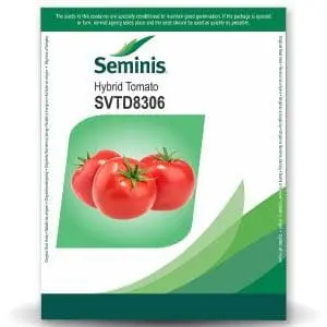 Svtd8306 Tomato Seeds ( एसवीटीडी 8306 टमाटर ) 1