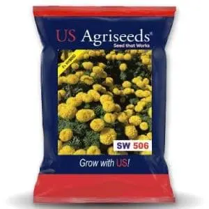 Sw 506 Yellow Marigold Seeds 1