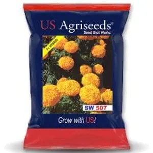 Sw 507 Marigold Seeds 1