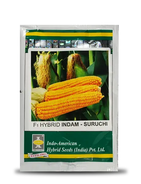 Suruchi Sweet Corn 1
