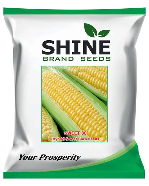 Shine Sweet 80 Sweet Corn Seeds 1