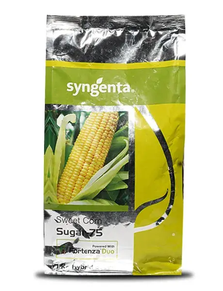 Syngenta Sugar 75 Sweet Corn Seeds 1