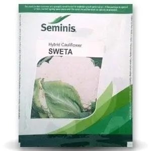 Sweta Cauliflower 1