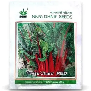 Swiss Chard Red 1