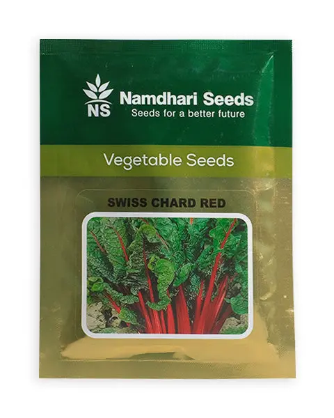 Swiss Chard Red Ns 10552 Kgp 1