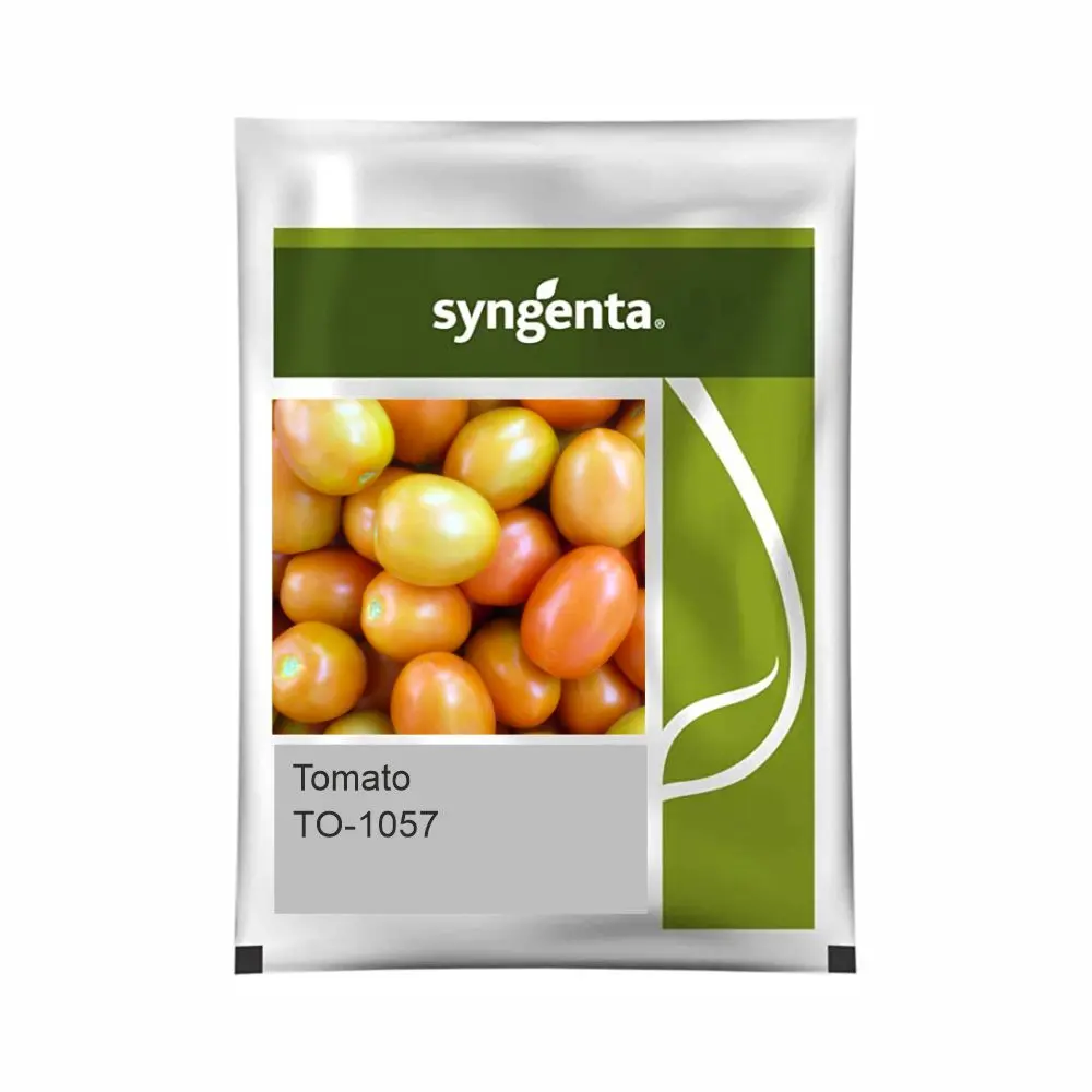 Syngenta To-1057 Tomato Seeds - High Yielding & Heat Tolerant Variety 1