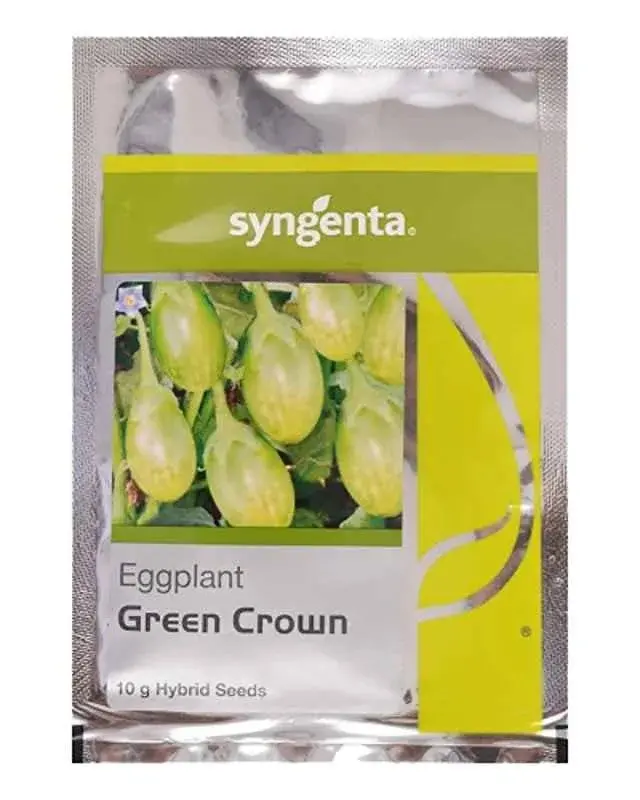 Syngenta Green Crown Brinjal Seeds 1