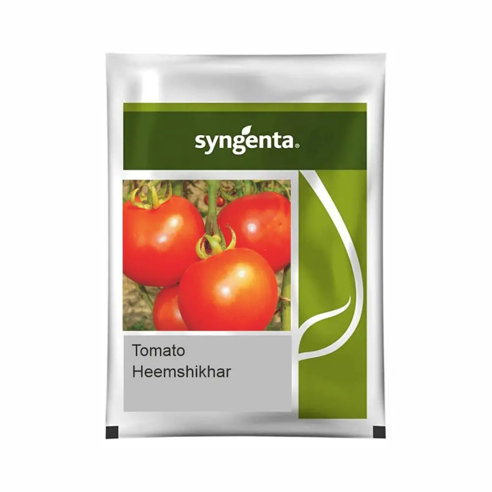 Syngenta Heemshikhar Tomato Seeds 1