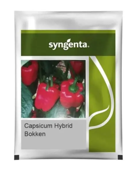 Capsicum Bokken Capsicum Seeds 1
