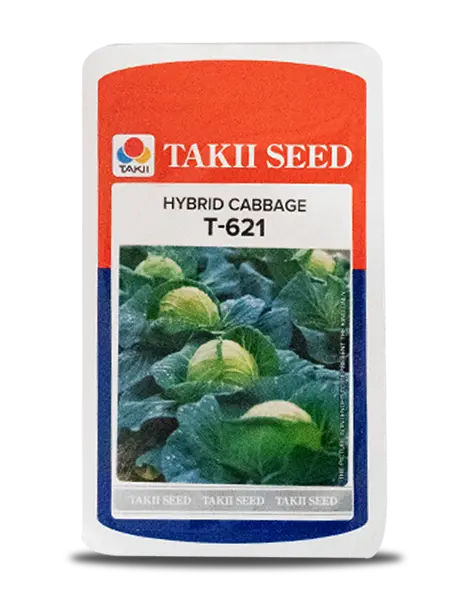 T-621 Cabbage F1 1